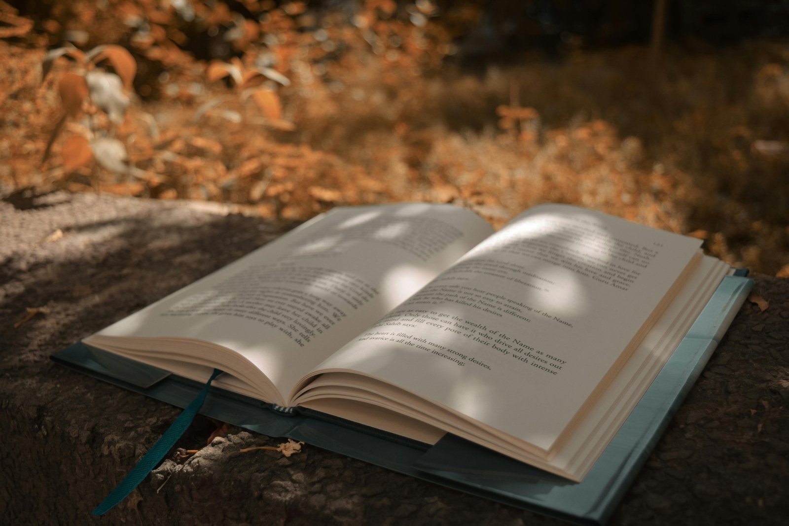open book in a park