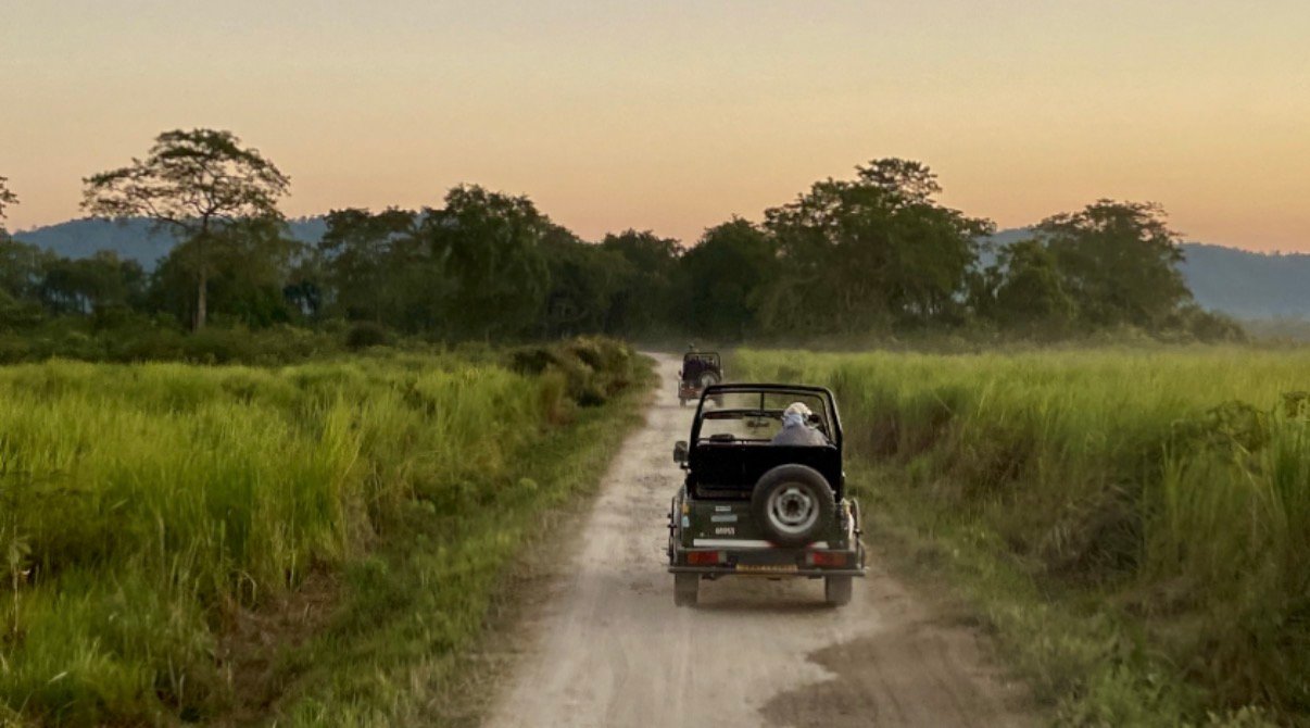 traveling in kaziranga national park on jeep